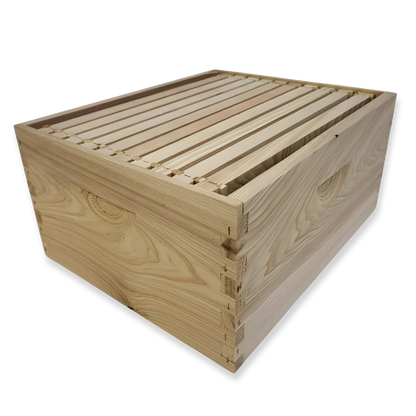 10-Frame Double Deep Box Hive Kit