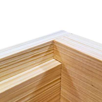 10-Frame All-Medium Box Hive Kit