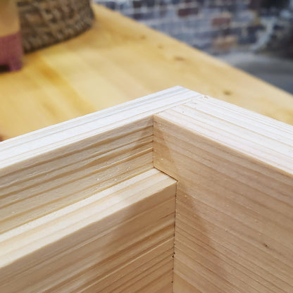 5-Frame Complete, Deep 9 5/8-inch Box with Frames and Foundation