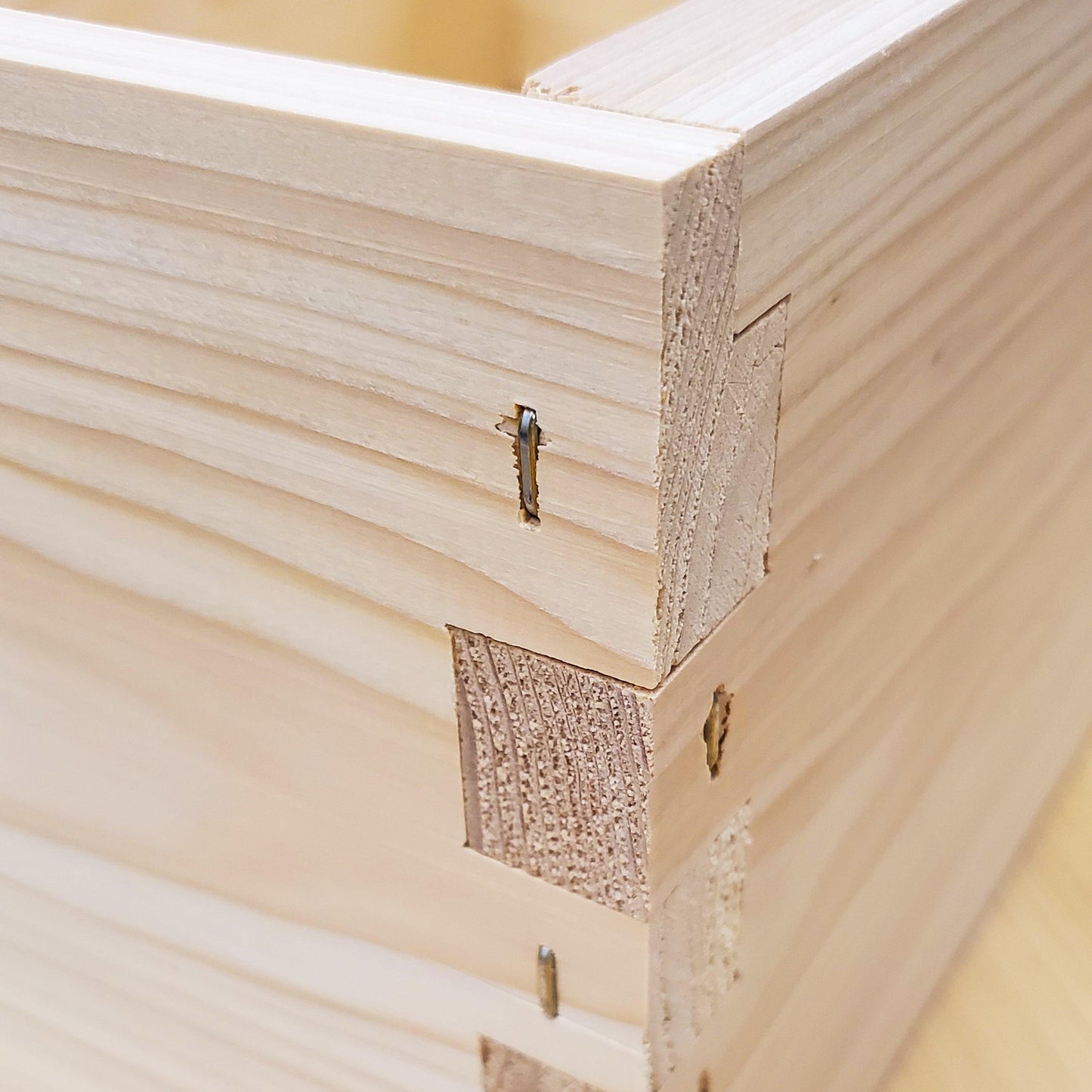 5-Frame Complete, Deep 9 5/8-inch Box with Frames and Foundation