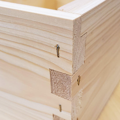 5-Frame Complete, Deep 9 5/8-inch Box with Frames and Foundation