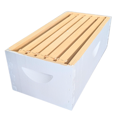 5-Frame Complete, Medium 6 5/8-inch Box with Frames and Foundation