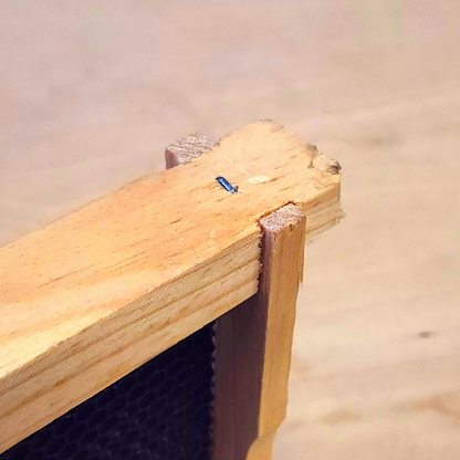 8-Frame Completed, Deep 9 5/8-inch Box with Frames and Foundation