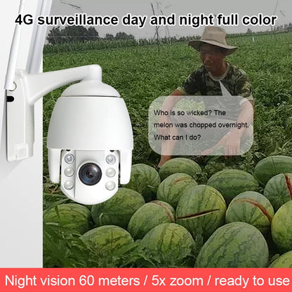 QX2 4G (EU Version) 1080P HD 360 Degrees Panoramic Day and Night Full-color IP66 Waterproof Smart Camera, Support Motion Detection / Two-way Voice / TF Card, EU Plug