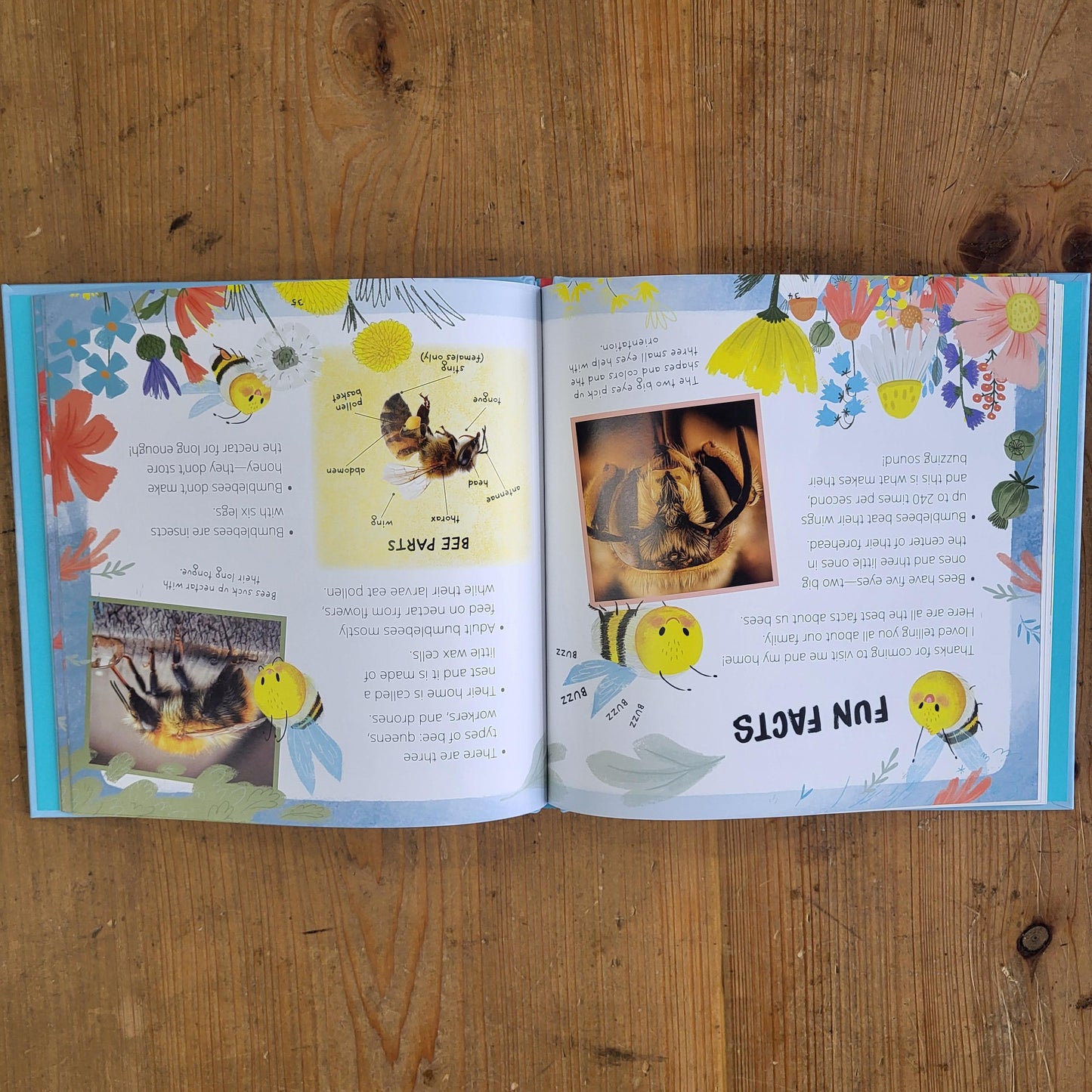 Little Bee Kids Book