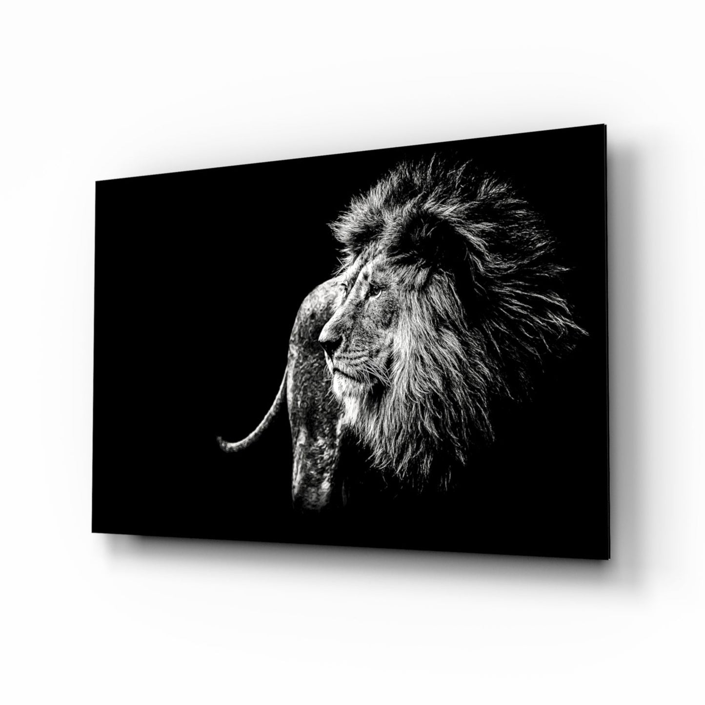 Lion Glass Wall Art