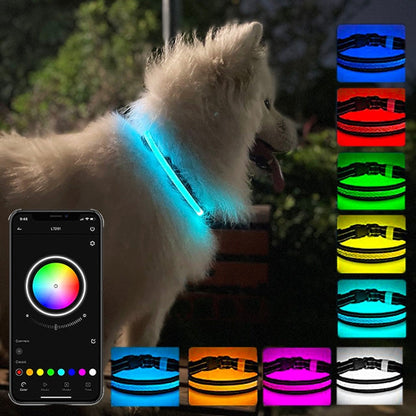 LED Rechargeable Wear-resistant and Waterproof Pet Lighting Collar, Size: L(Black)