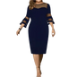 Black Mesh Plus Size Dress Elegant Fashion Collection